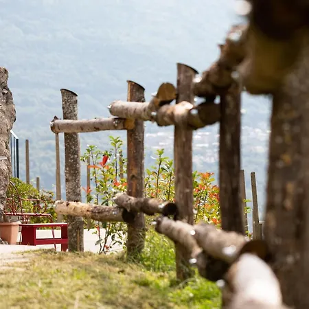 Bed & Breakfast Cà Rossa Wine Experience