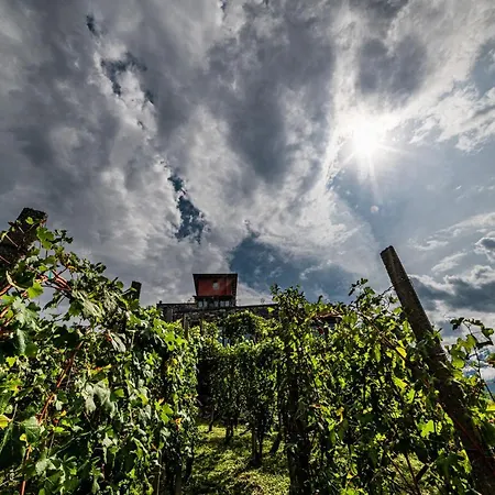 Cà Rossa Wine Experience